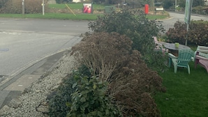 A residential area with houses, a road, and a view of the sea. - Green Apple Bed and Breakfast (St Ives)