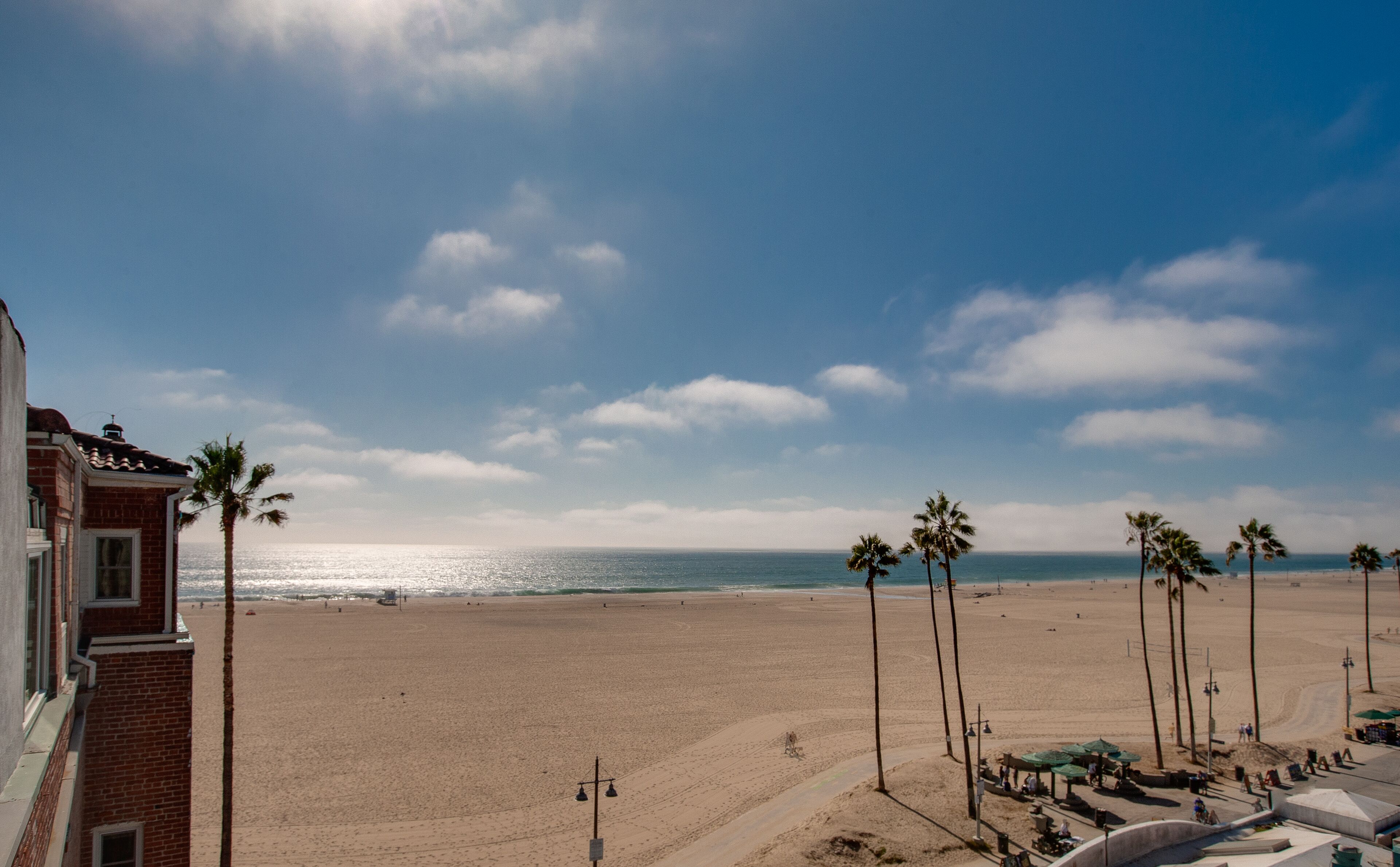 A beach with palm trees and a building in the foreground.