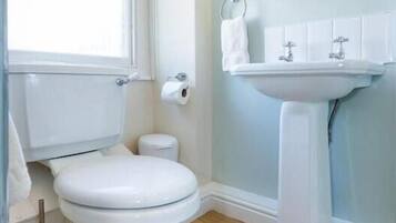 Shower, rainfall showerhead, designer toiletries, hair dryer