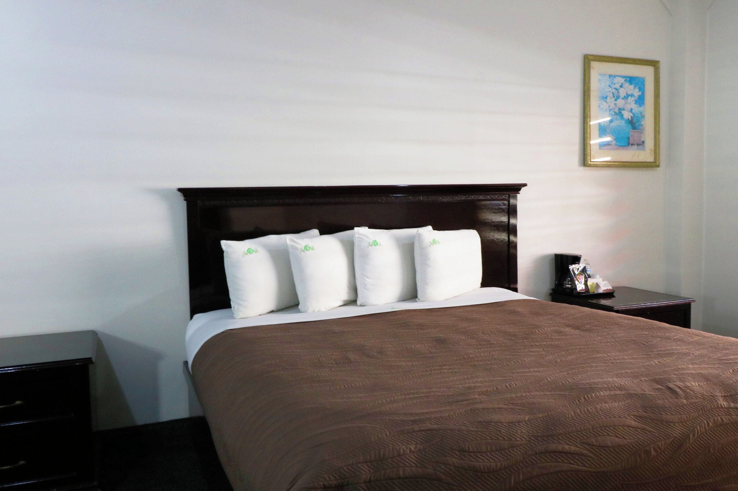 Foto - Hotel Bugambilias