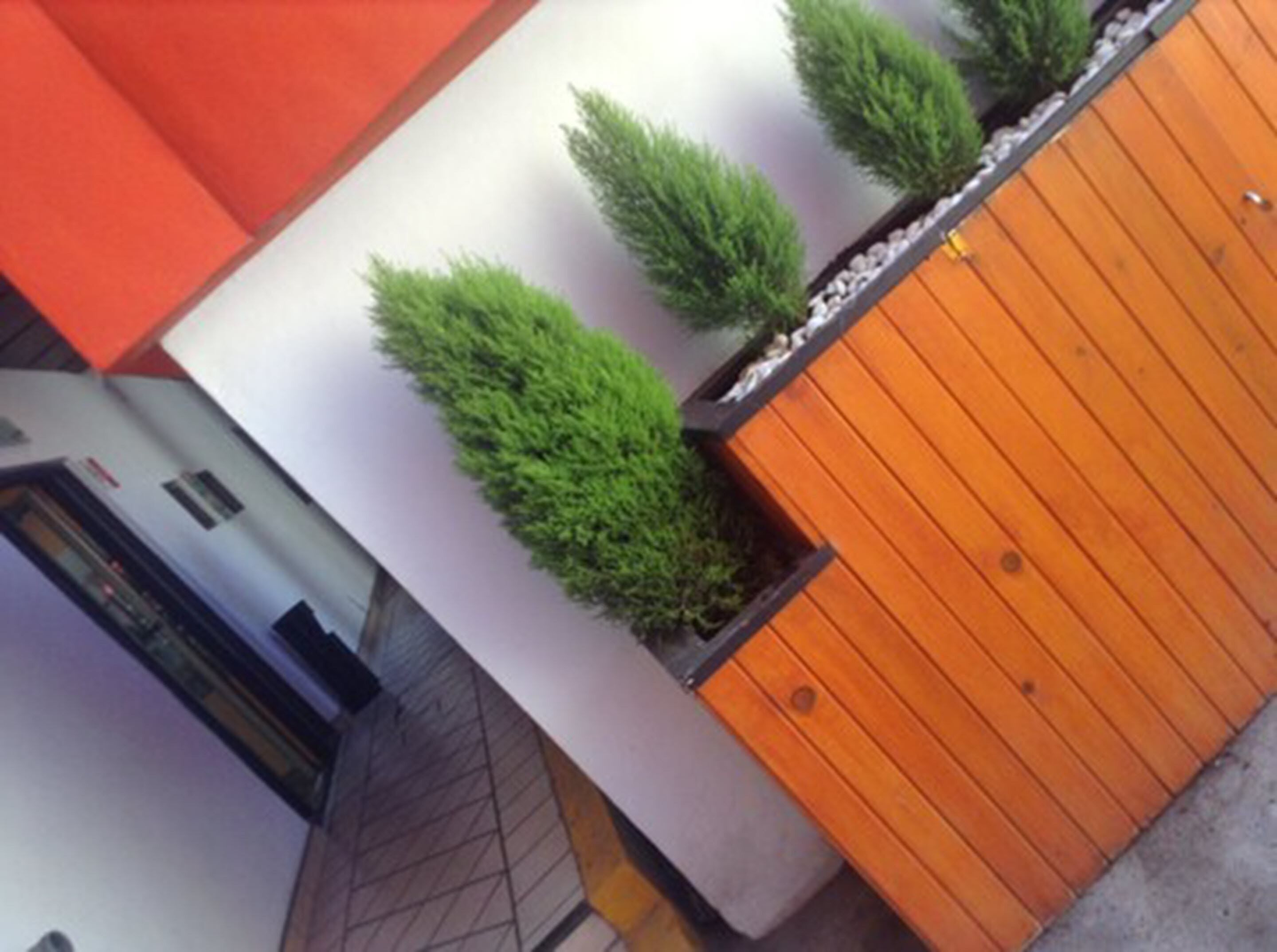 Foto - Hotel Bugambilias