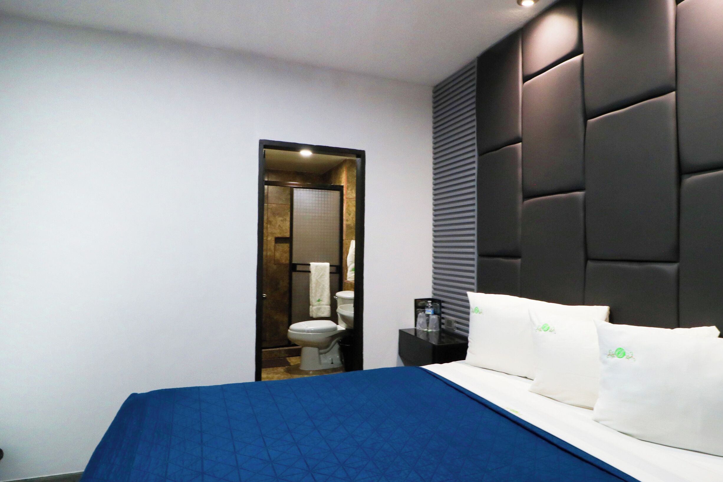 Foto - Hotel Bugambilias