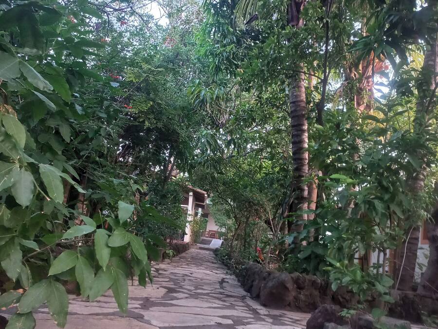 Udsigt til gårdsplads