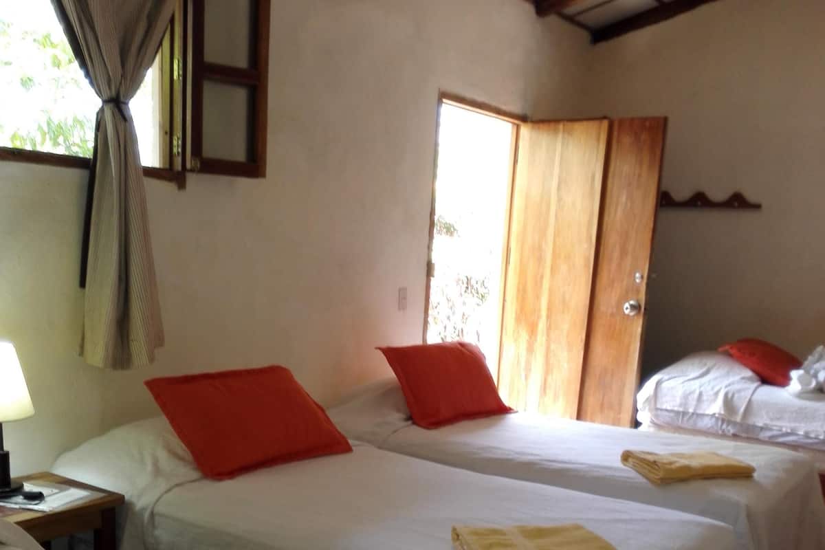 Egyptian cotton sheets, premium bedding, down duvets, pillow-top beds