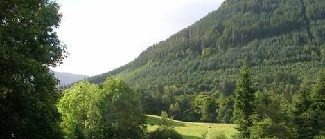 A view of a lush green valley with a wooden fence and lamp posts in the foreground.