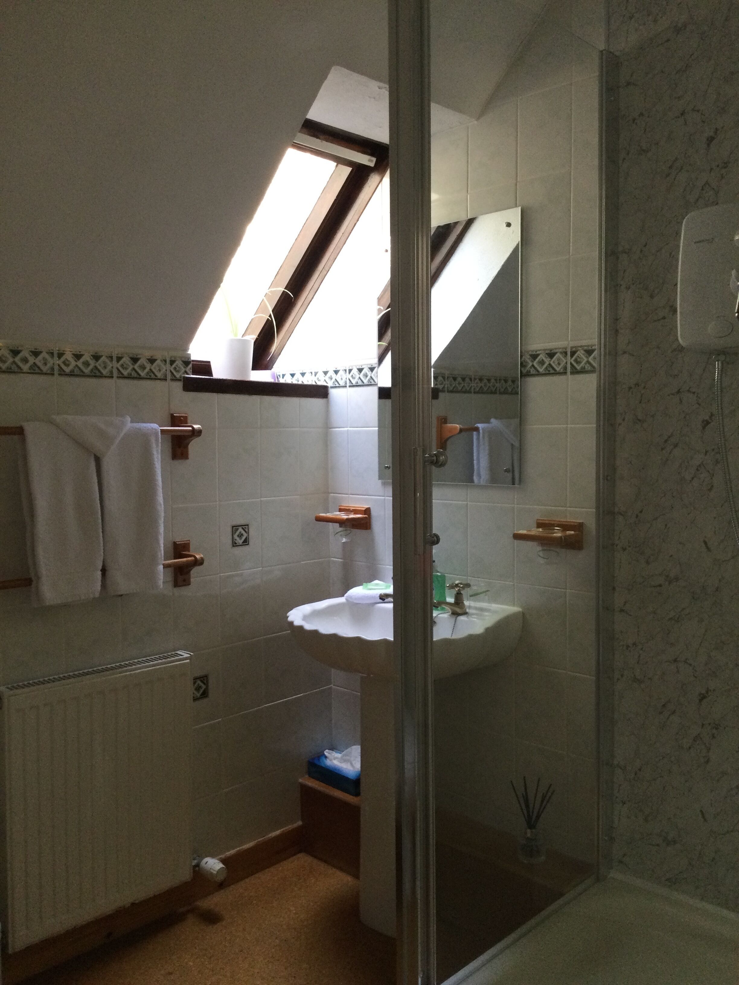 A bathroom with a skylight, a sink, a mirror, and a shower.