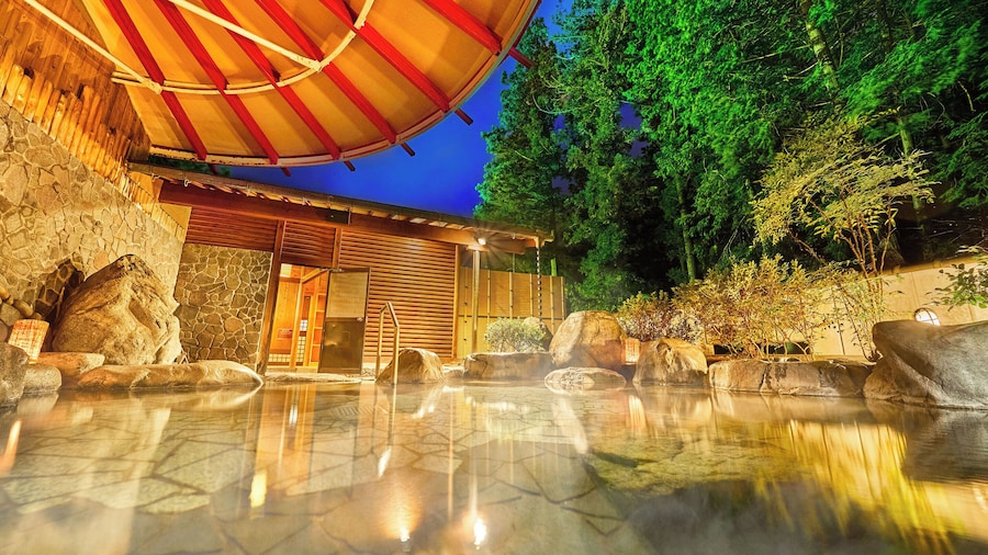Ooedo Onsen Monogatari Gero Bekkan