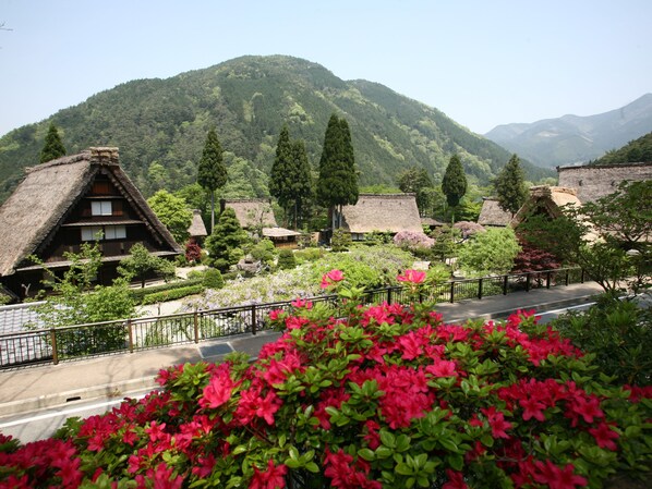 A traditional village with thatched-roof houses, lush greenery, and a mountain backdrop.