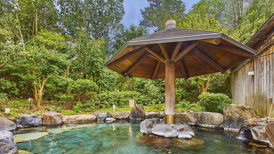 Ooedo Onsen Monogatari Premium Seiunkaku