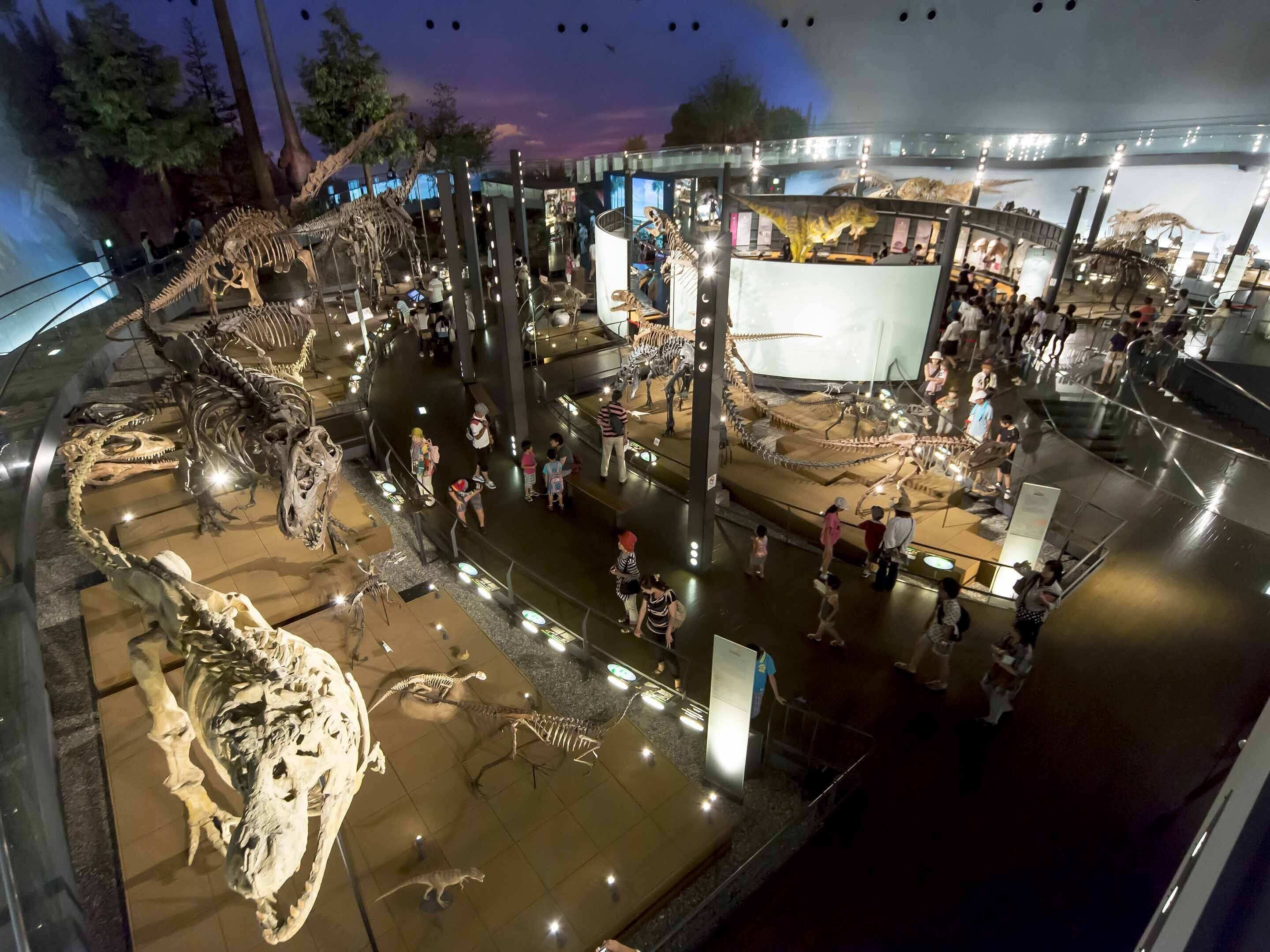 Een museumexpositie met dinosaurus skeletten en educatieve presentaties.