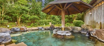 Ooedo Onsen Monogatari Premium Seiunkaku