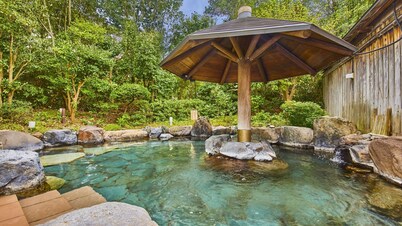 Ooedo Onsen Monogatari Premium Seiunkaku