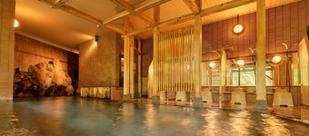 Ooedo Onsen Monogatari Yamanaka Saichoraku