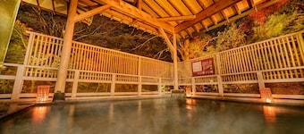Ooedo Onsen Monogatari Premium Yoshinoya Irokuen