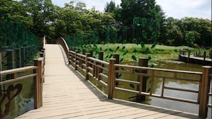 A wooden bridge with railings, surrounded by lush greenery and a pond. - 24 Guesthouse Seoul Cheongryangri (Seoul)