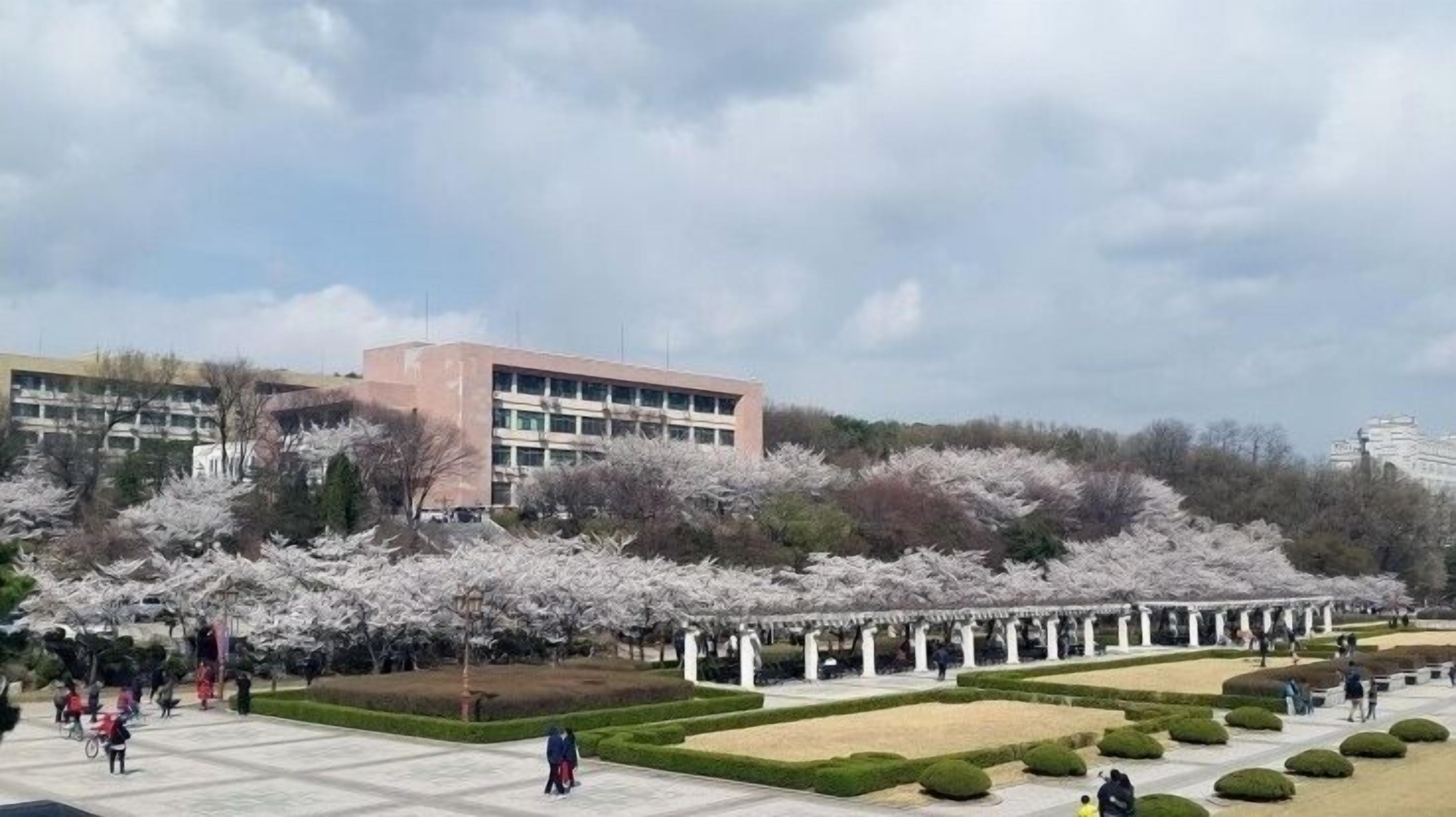 A public square with a building, cherry blossom trees, and a covered walkway.