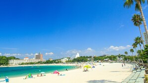 Una playa con agua azul cristalina, palmeras y una orilla arenosa. Se ven edificios al fondo y algunas personas en la playa.