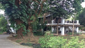 Property grounds - A Hotel Homey (Chiang Saen)