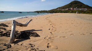 Una playa arenosa con huellas, un tronco de madera a la orilla y una montaña al fondo.