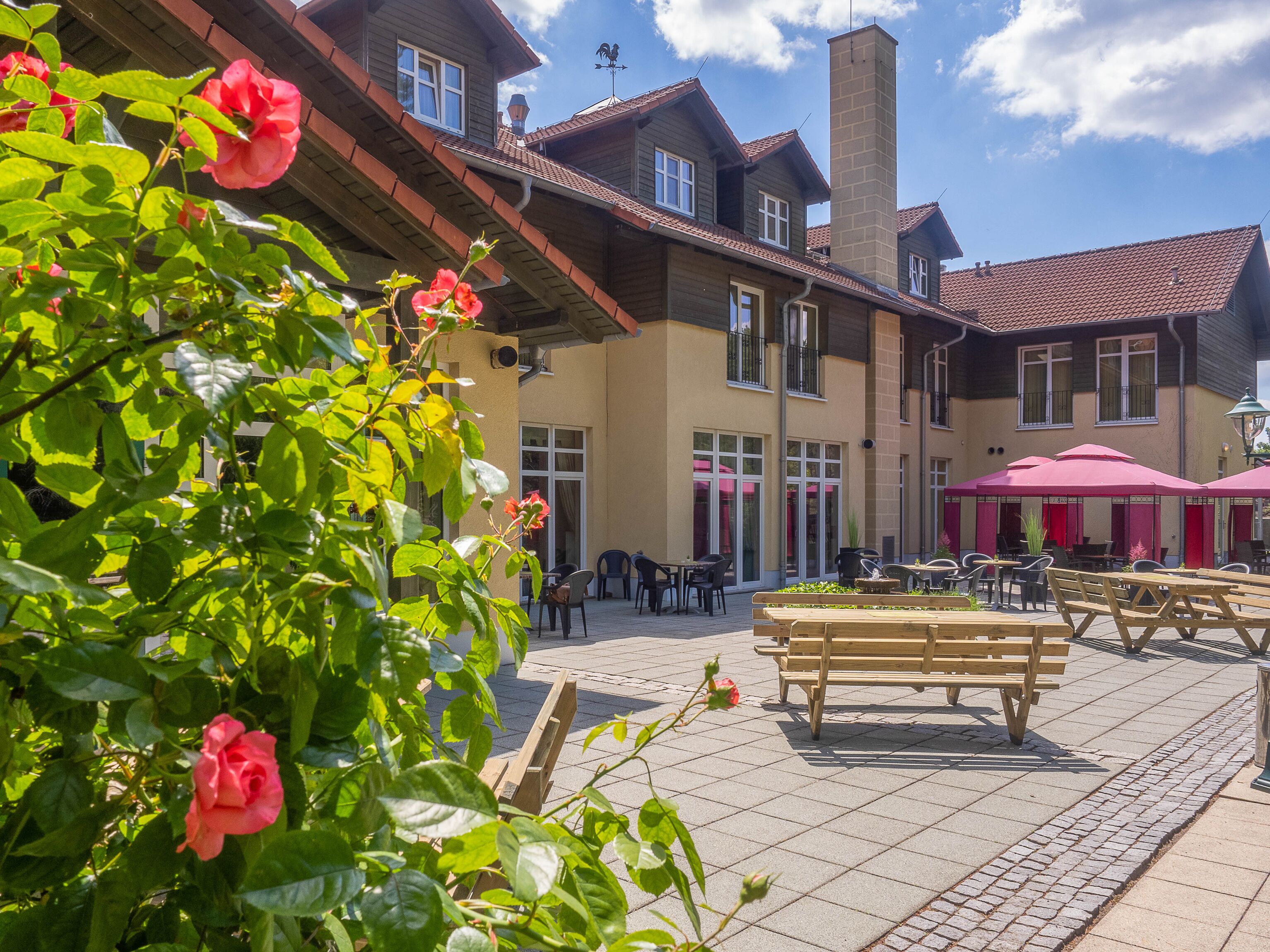 テラス / パティオ