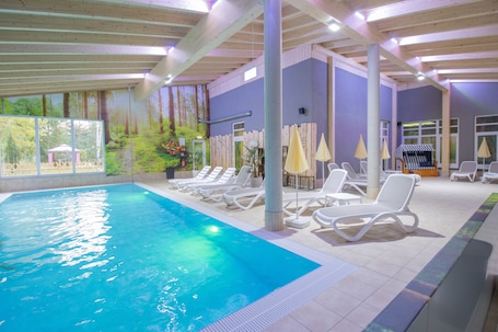 Indoor pool, sun loungers
