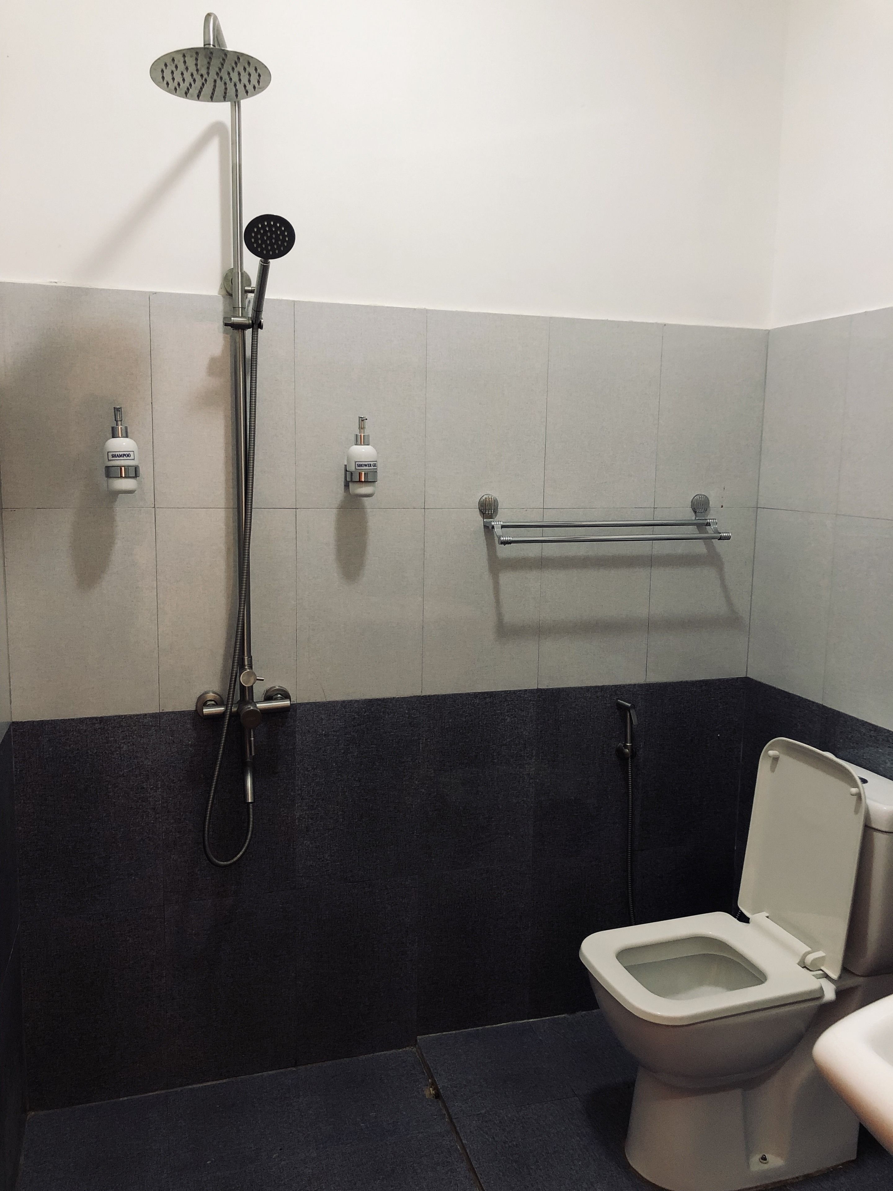 A bathroom with a shower, toilet, and two shampoo bottles on the wall.