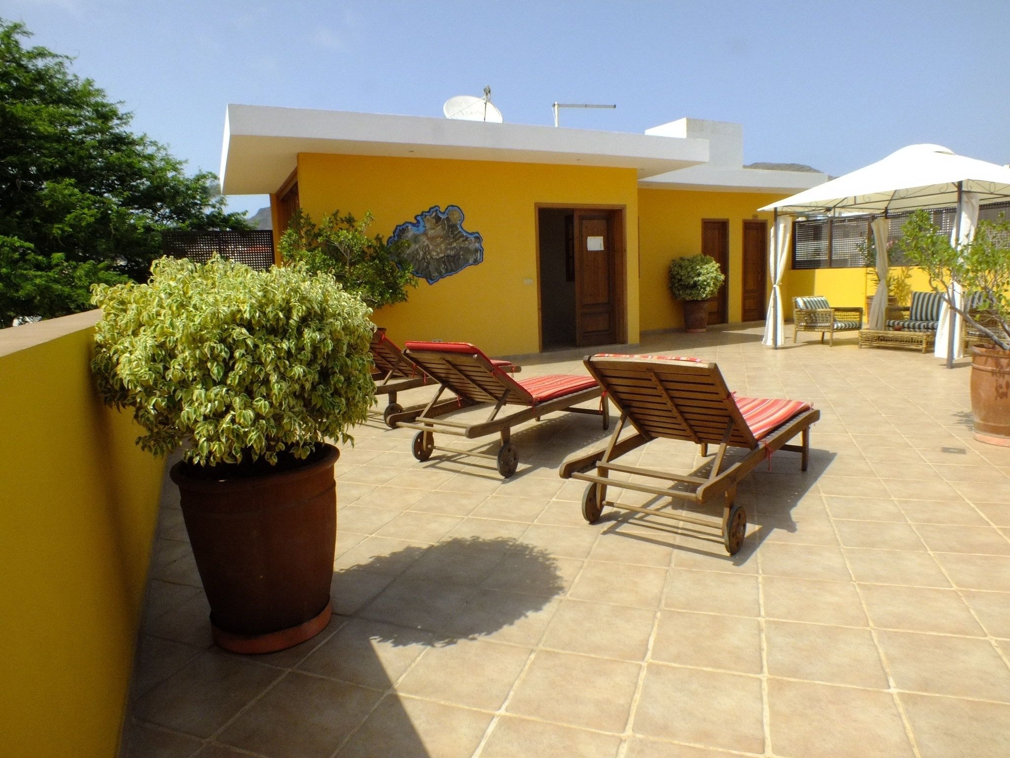 A patio with sun loungers, a large potted plant, and a yellow building with a door and windows.