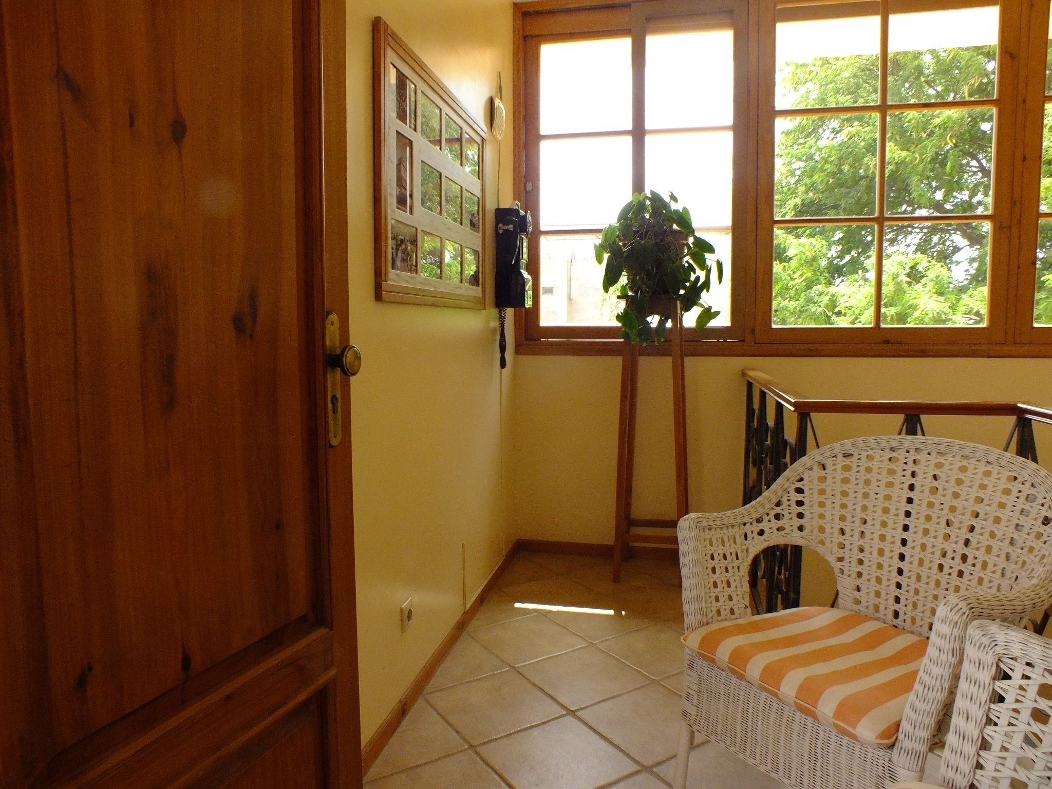 Ein Zimmer mit Holztür, einem Korbstuhl mit orangefarbenem Kissen, einer Topfpflanze und einem Fenster mit Blick auf Bäume.