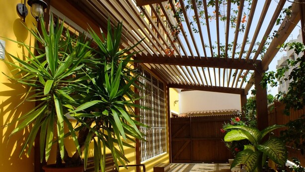Un patio cubierto con plantas en macetas, bancos de madera y una estructura de pérgola.