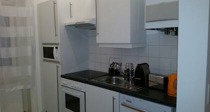 Goldfisch Apartment Central Park