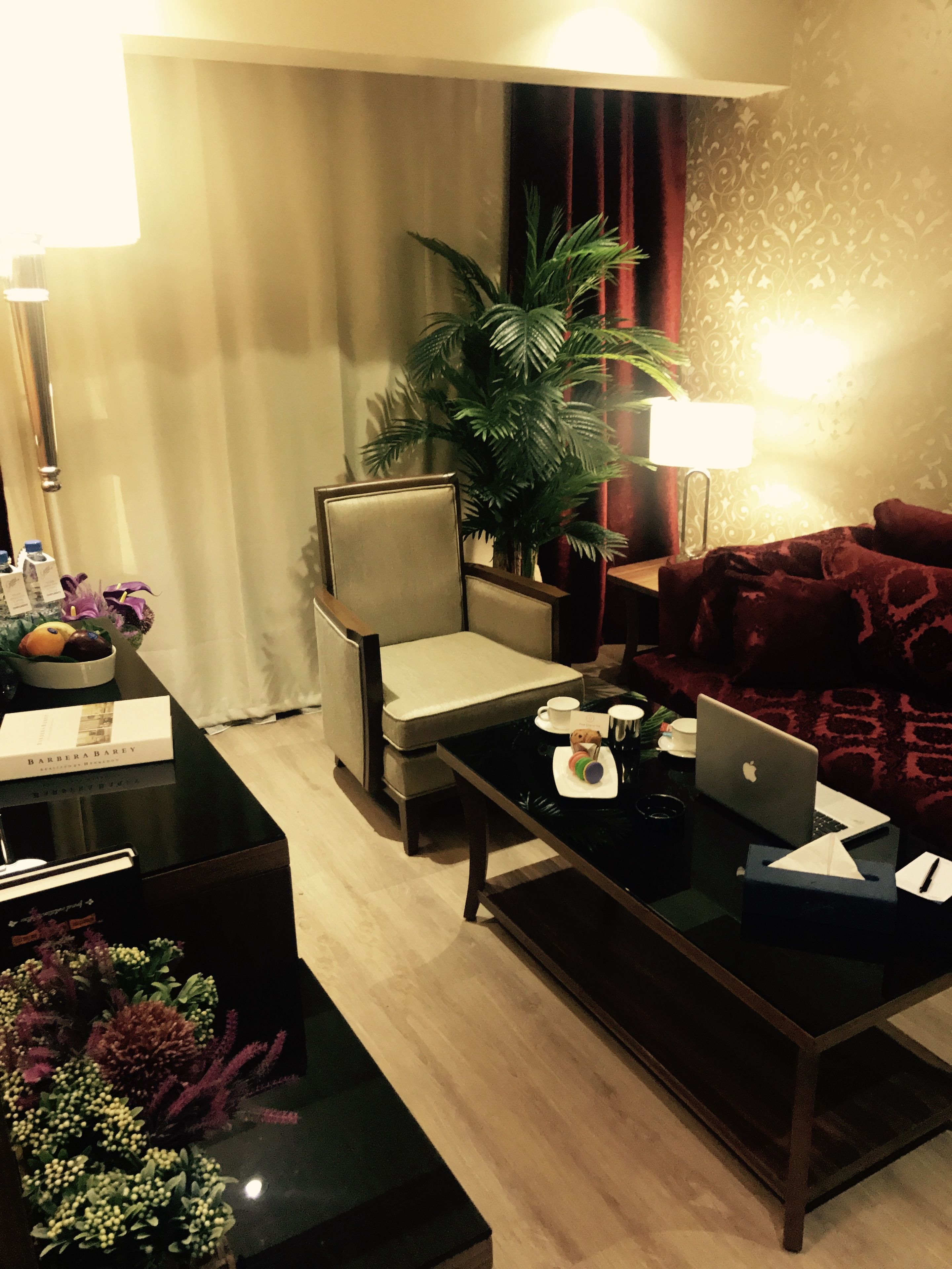 A modern living room with a sofa, armchair, coffee table, and a laptop. There is a potted plant and a lamp on the table.