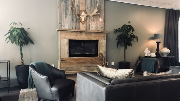 A modern living room with a fireplace, leather sofas, and potted plants. - Gottskär Hotell & Konferens  (Gottskar)
