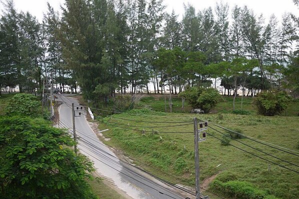 A road with a railway track running alongside it, surrounded by dense greenery and trees.