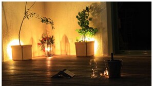 A dimly lit room with wooden flooring, two potted plants, a glass, and a book. - Villa Mirothea (Alonissos)