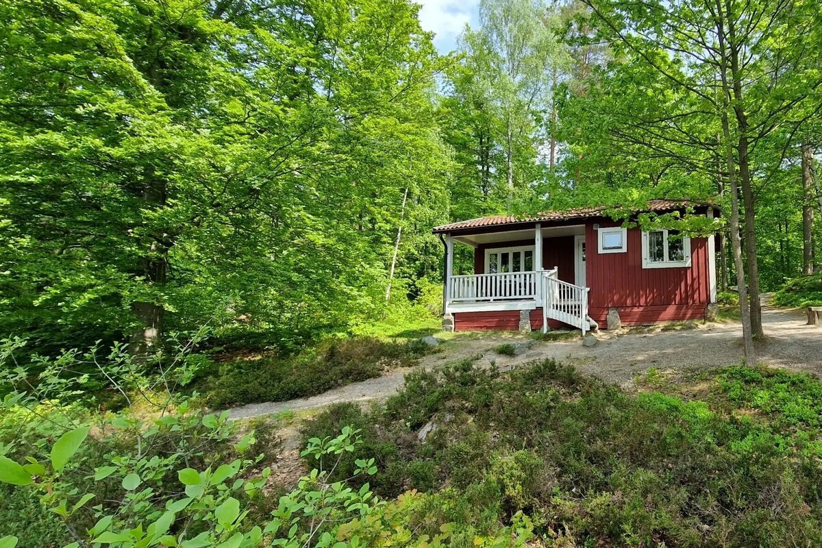A small red cabin with a porch, surrounded by dense green forest.
