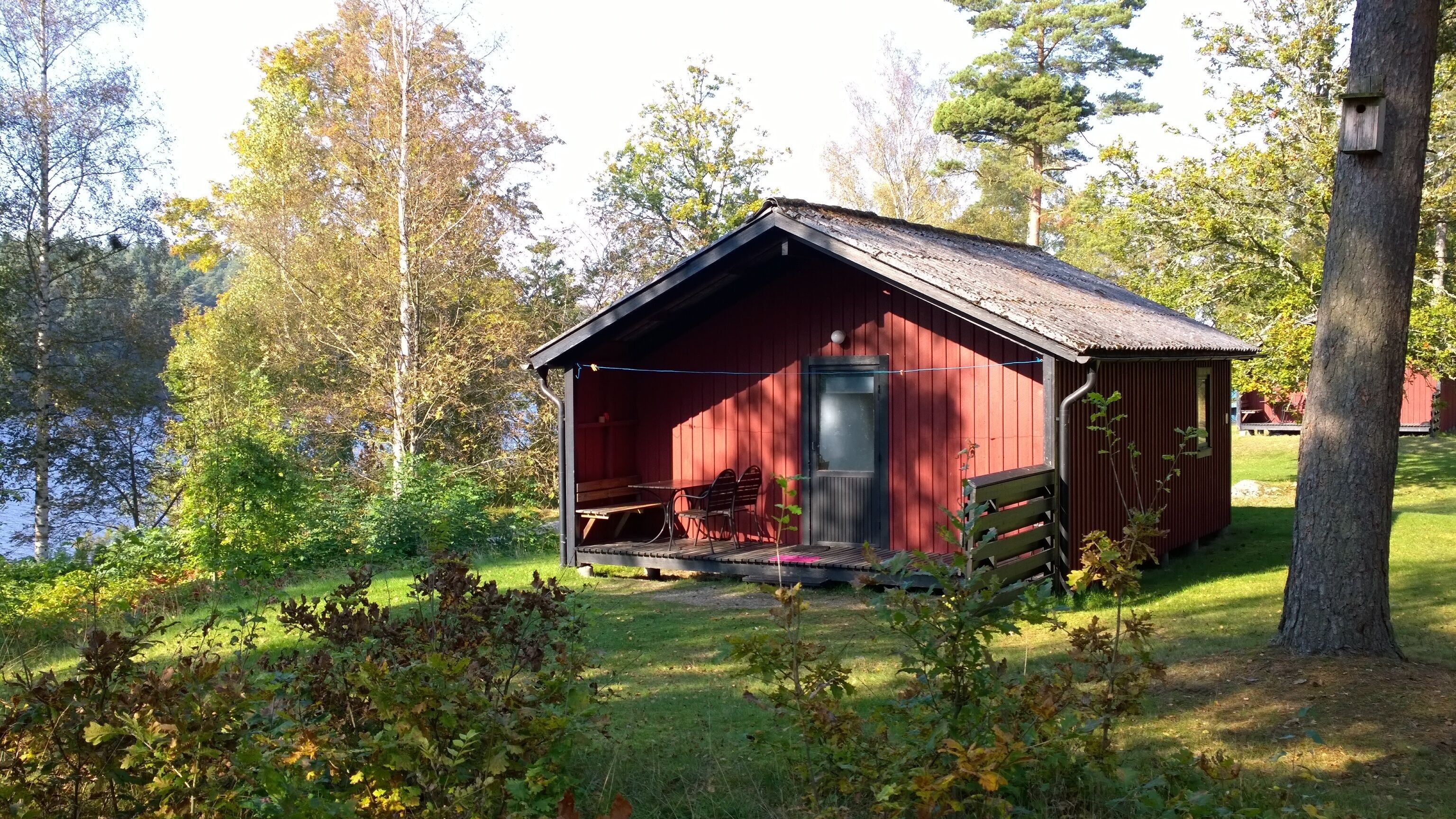 Premium Cabin | Terrace/patio