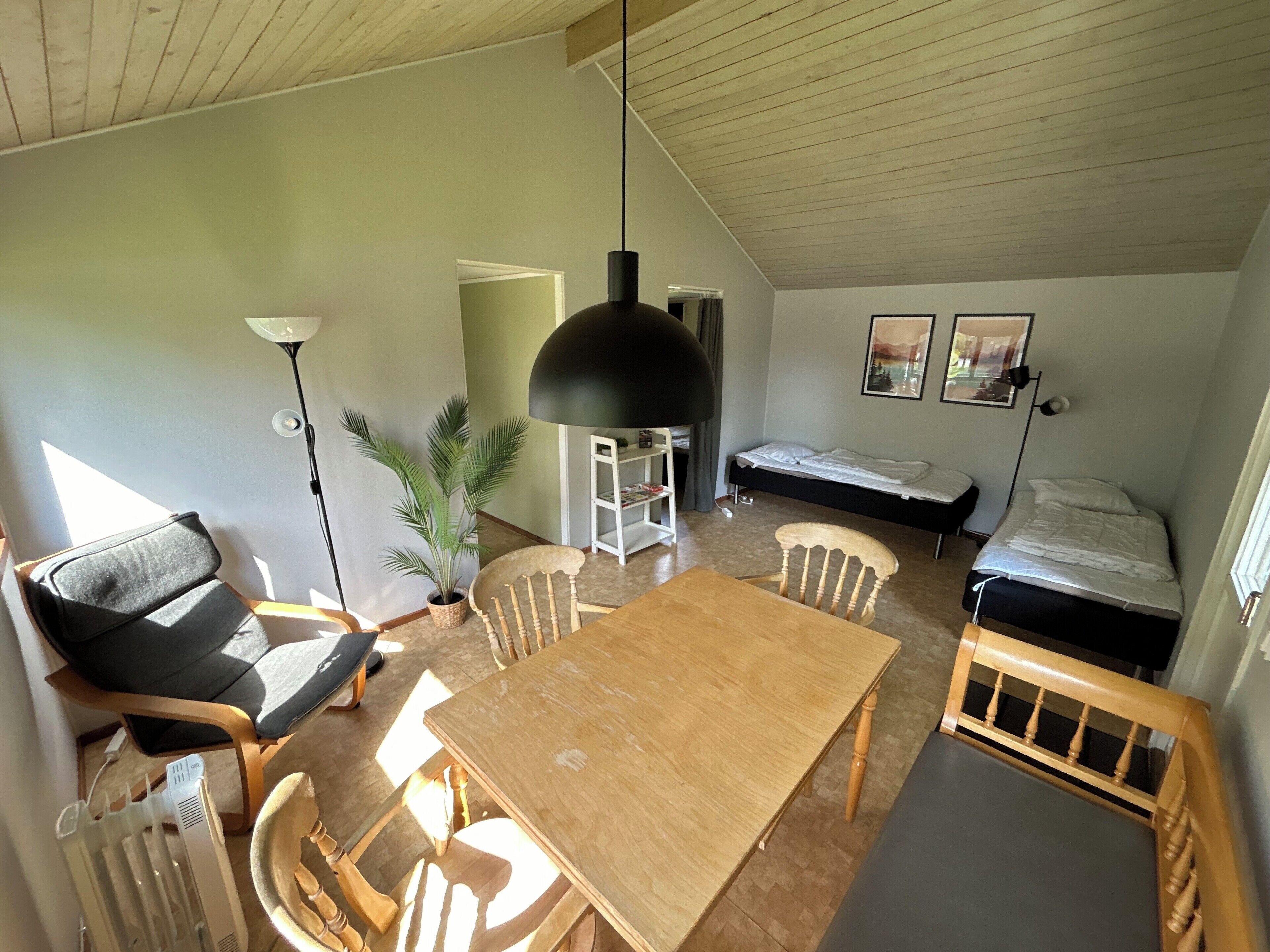 A room with a wooden table, chairs, a bed, a radiator, and a potted plant.