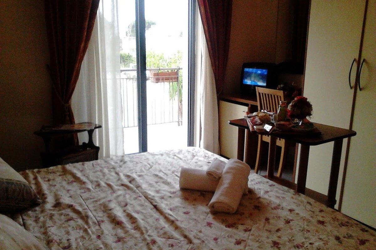 A hotel room with a bed, a desk with a television, and a view through the window.