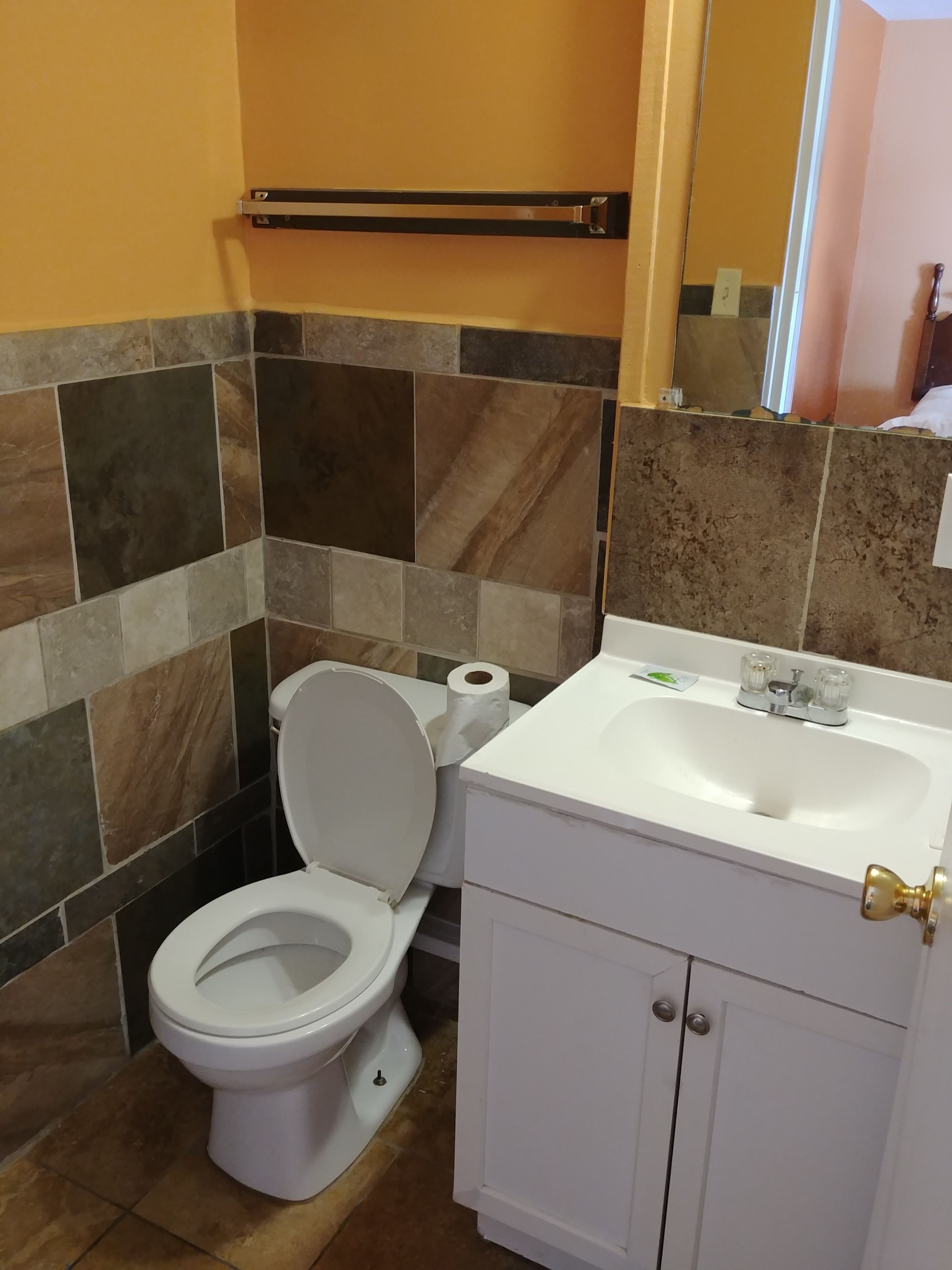 Un baño con inodoro, lavamanos y espejo.