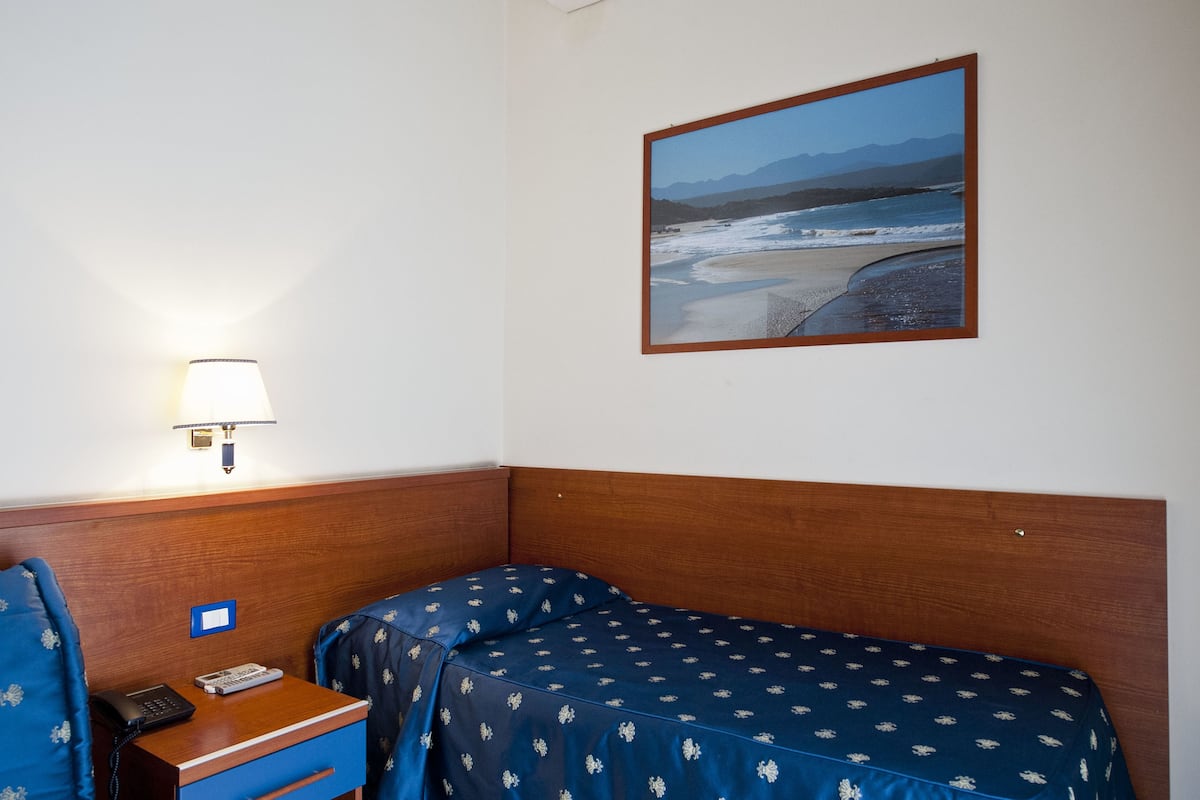 Single Room | Premium bedding, in-room safe, individually furnished, desk