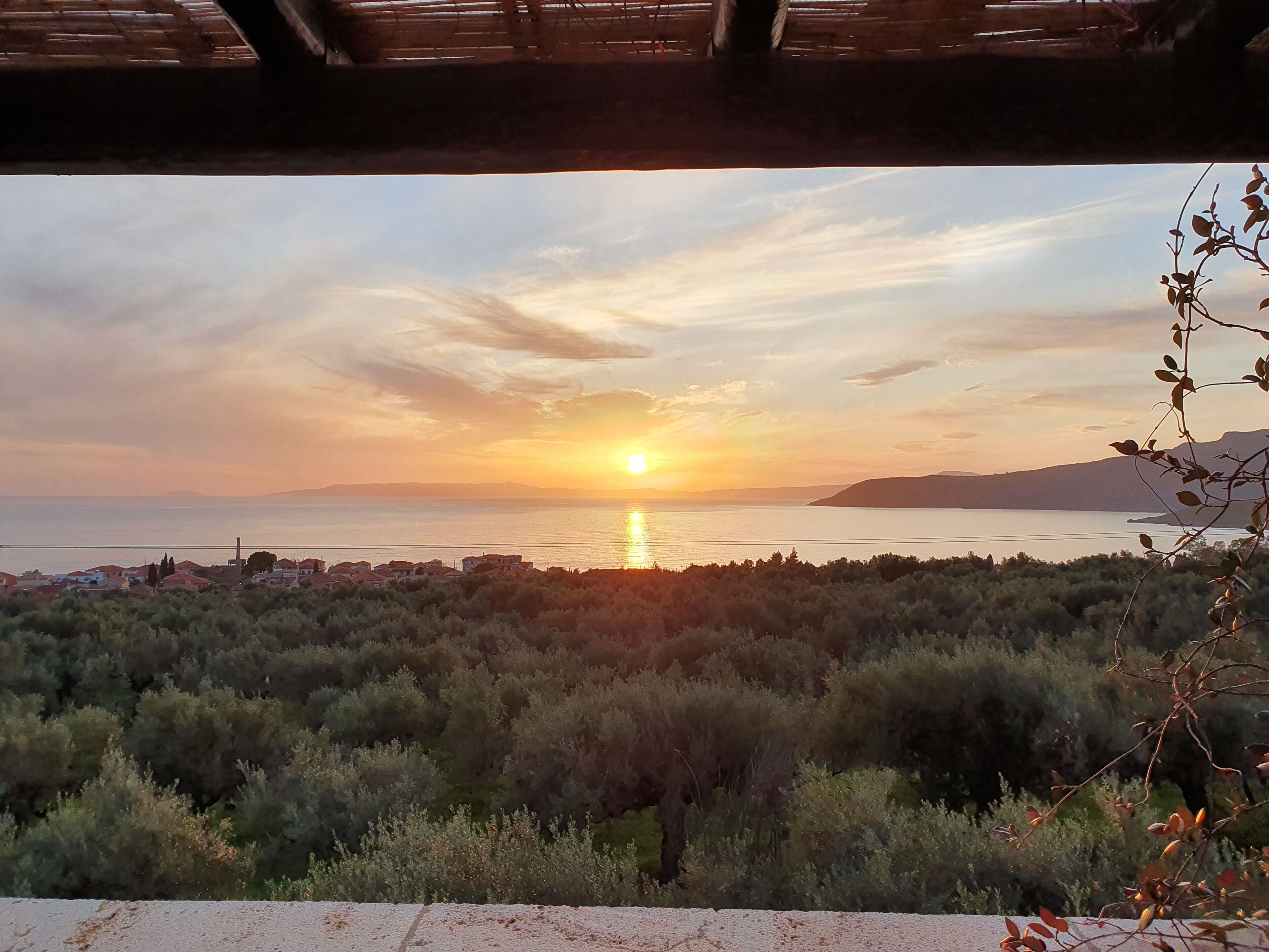 A coastal landscape with a sunset over the sea, surrounded by dense vegetation and a few buildings in the distance.