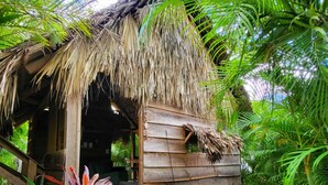 Deluxe House, Private Bathroom, Garden View (Entire property) | Garden