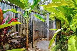 Shower, free toiletries, towels