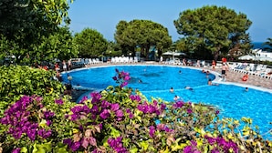 A swimming pool surrounded by lush greenery and trees, with people swimming and lounging.