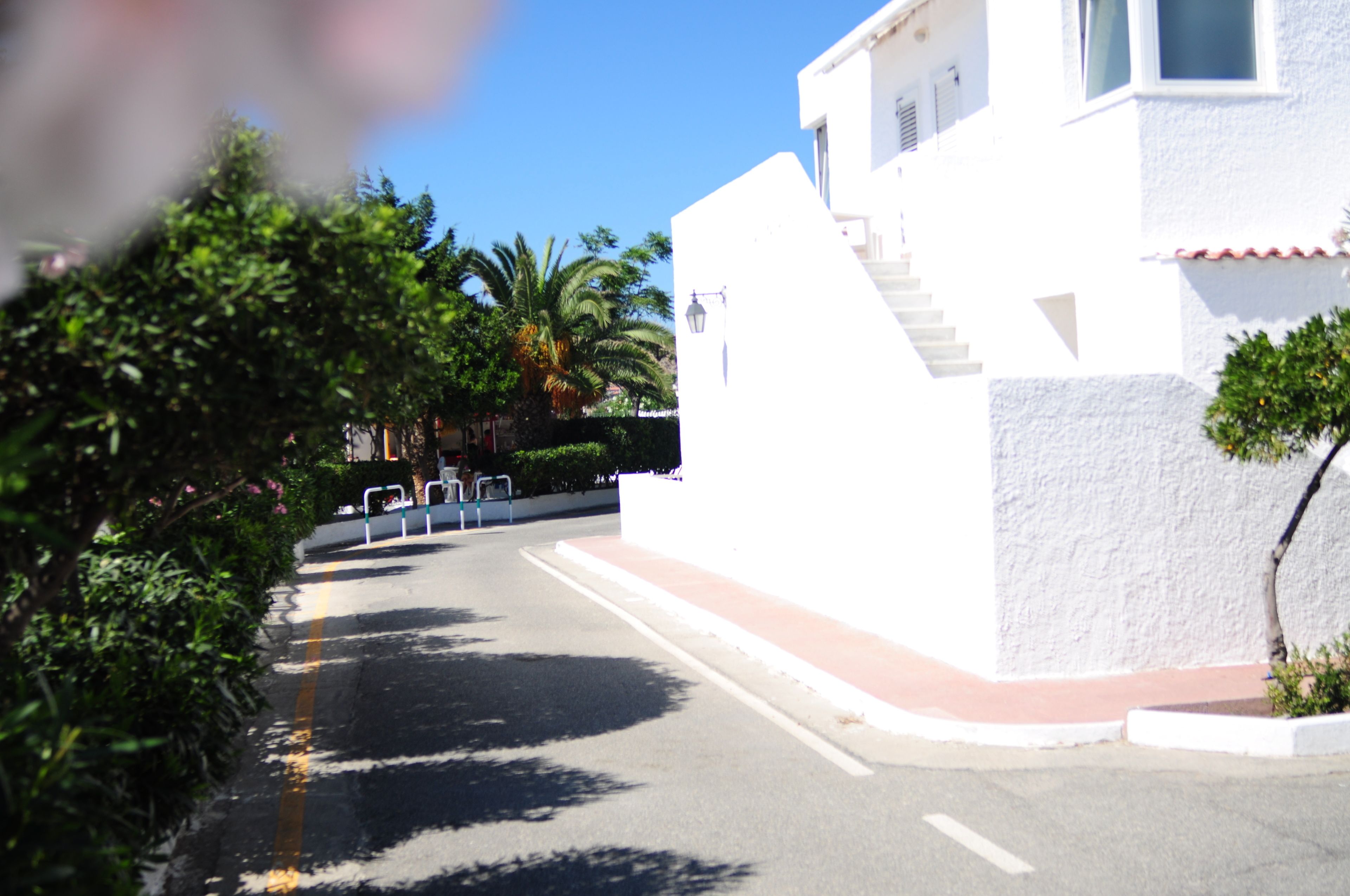 Une rue bordée d’un immeuble blanc, d’un palmier et sous un ciel dégagé.