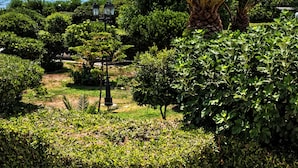 A landscaped garden with a palm tree, various shrubs, and a view of the sea.