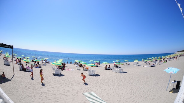 A beach with rows of beach chairs and umbrellas, a clear sky, and the ocean in the background.