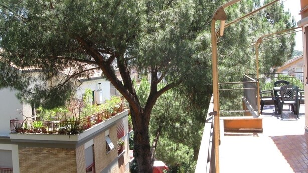 Un balcón con vista a un árbol grande y un edificio con barandilla roja.