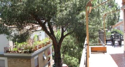 Attico dei Pini