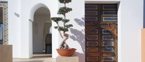 A traditional wooden door with a decorative metal grille, a potted bonsai tree, and a set of stairs leading to an arched doorway.
